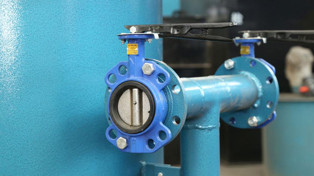 Backwash valve